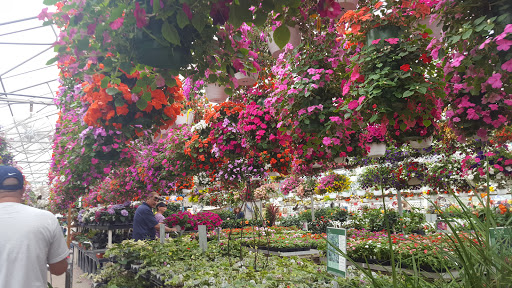 Produce Market «Didier Farms», reviews and photos, 16678 Aptakisic Rd, Lincolnshire, IL 60069, USA