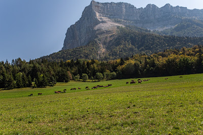 Mont Granier à Chapareillan