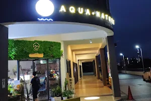 Aqua Nature - Nature Aquarium Aquascaping Gallery image