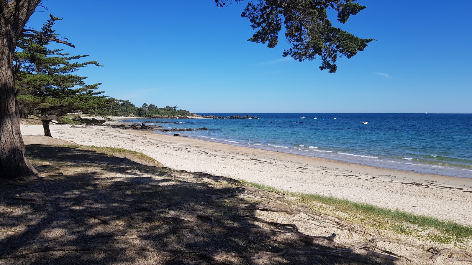 Plage des Sapins'in fotoğrafı çok temiz temizlik seviyesi ile