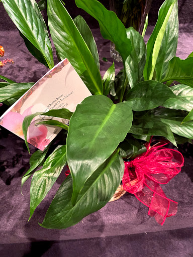 Florist «Fairytale Florals», reviews and photos, 3321 J.F.K. Blvd, North Little Rock, AR 72116, USA