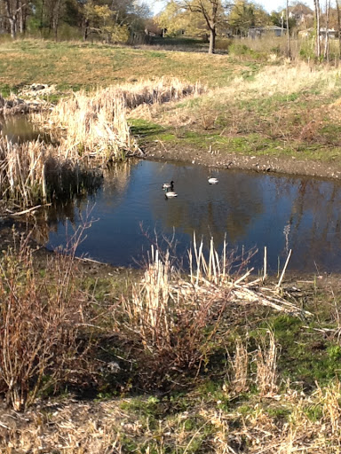 Park «Silverwood Park», reviews and photos, 2500 County Rd E, St Anthony, MN 55421, USA