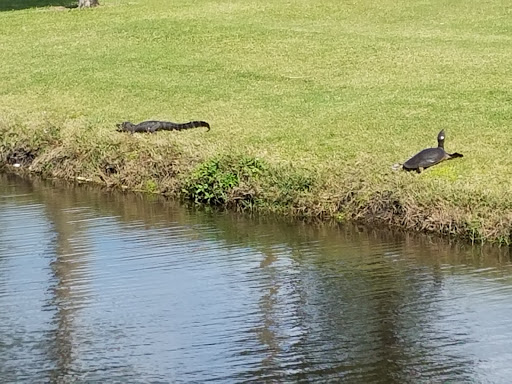 Golf Club «Turtle Creek Golf Club», reviews and photos, 1278 Admiralty Blvd, Rockledge, FL 32955, USA