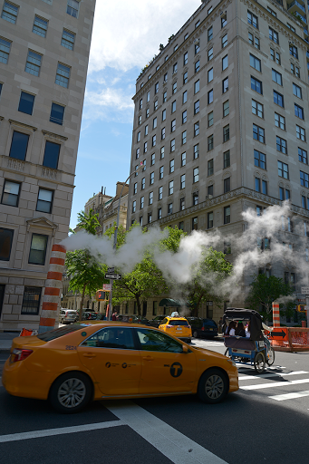 995 Fifth Avenue image 8