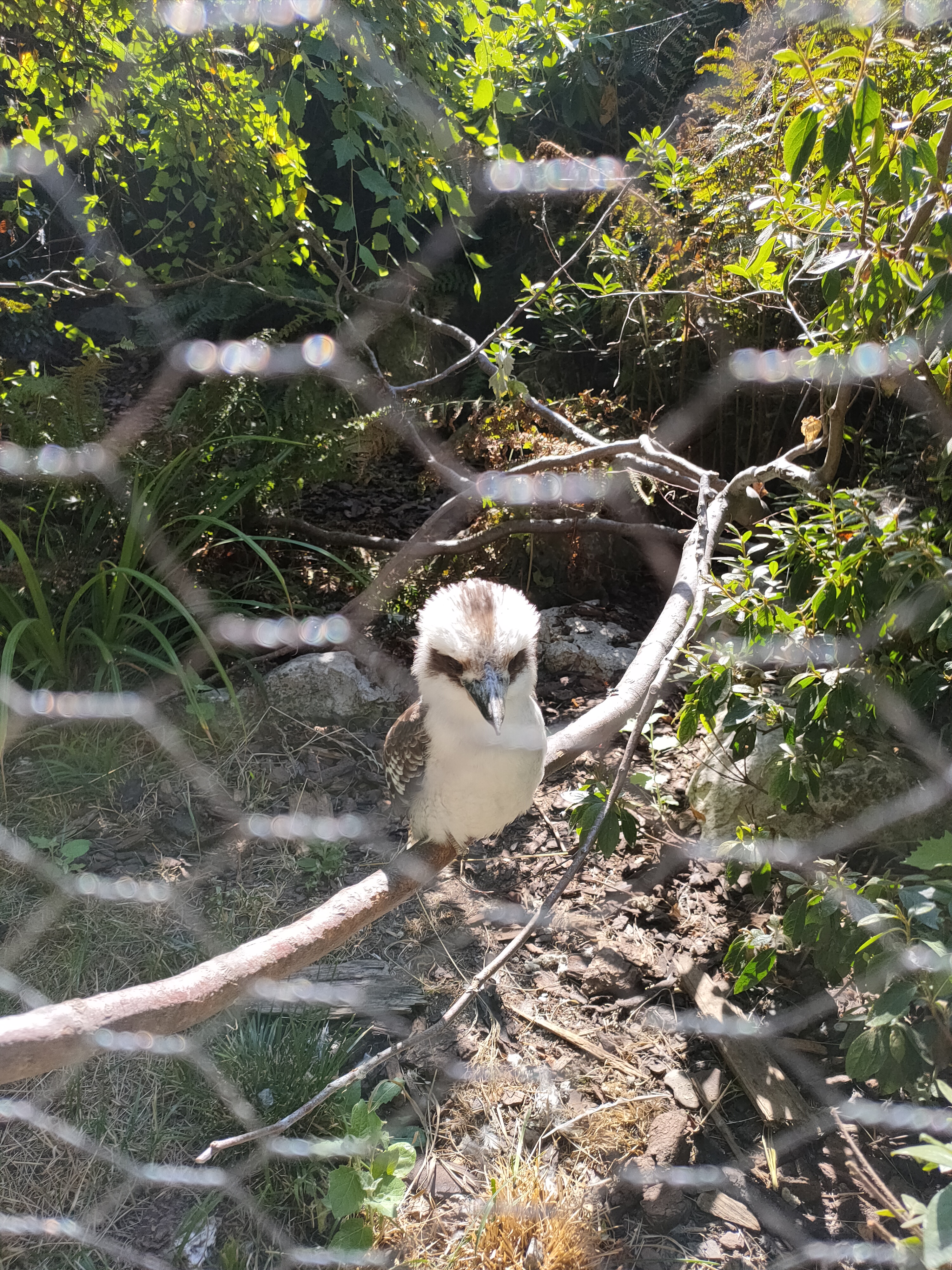 Photo n° 3 de l'avis de Gaelle.u fait le 04/08/2022 à 12:48