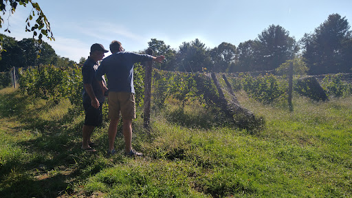 Vineyard «Diamond Hill Vineyards», reviews and photos, 3145 Diamond Hill Rd, Cumberland, RI 02864, USA