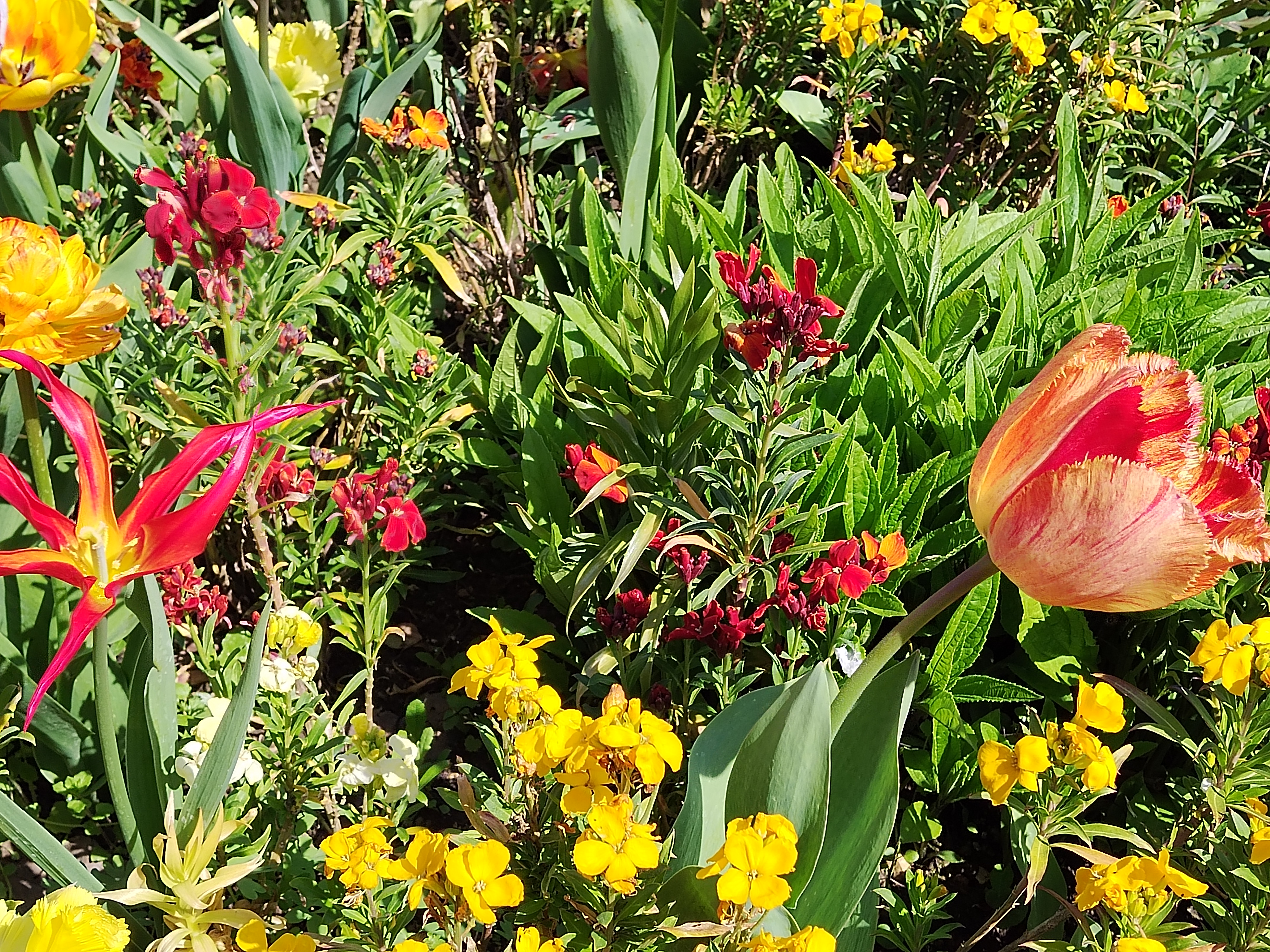 Photo n° 1 de l'avis de PATRICK.A fait le 19/04/2023 à 21:30