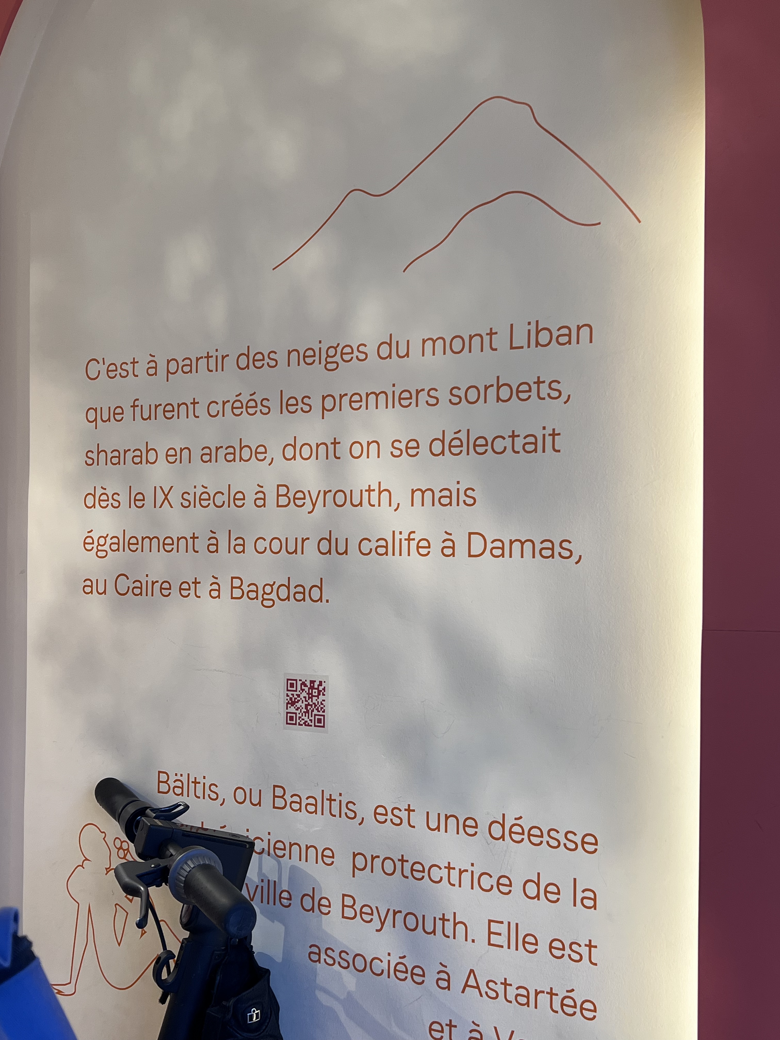 Photo n° 3 de l'avis de Maga. fait le 21/08/2022 à 14:33