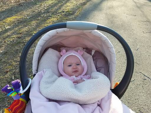 Park «Bringhurst Woods Park», reviews and photos, 5001 Washington Street Extension, Wilmington, DE 19809, USA