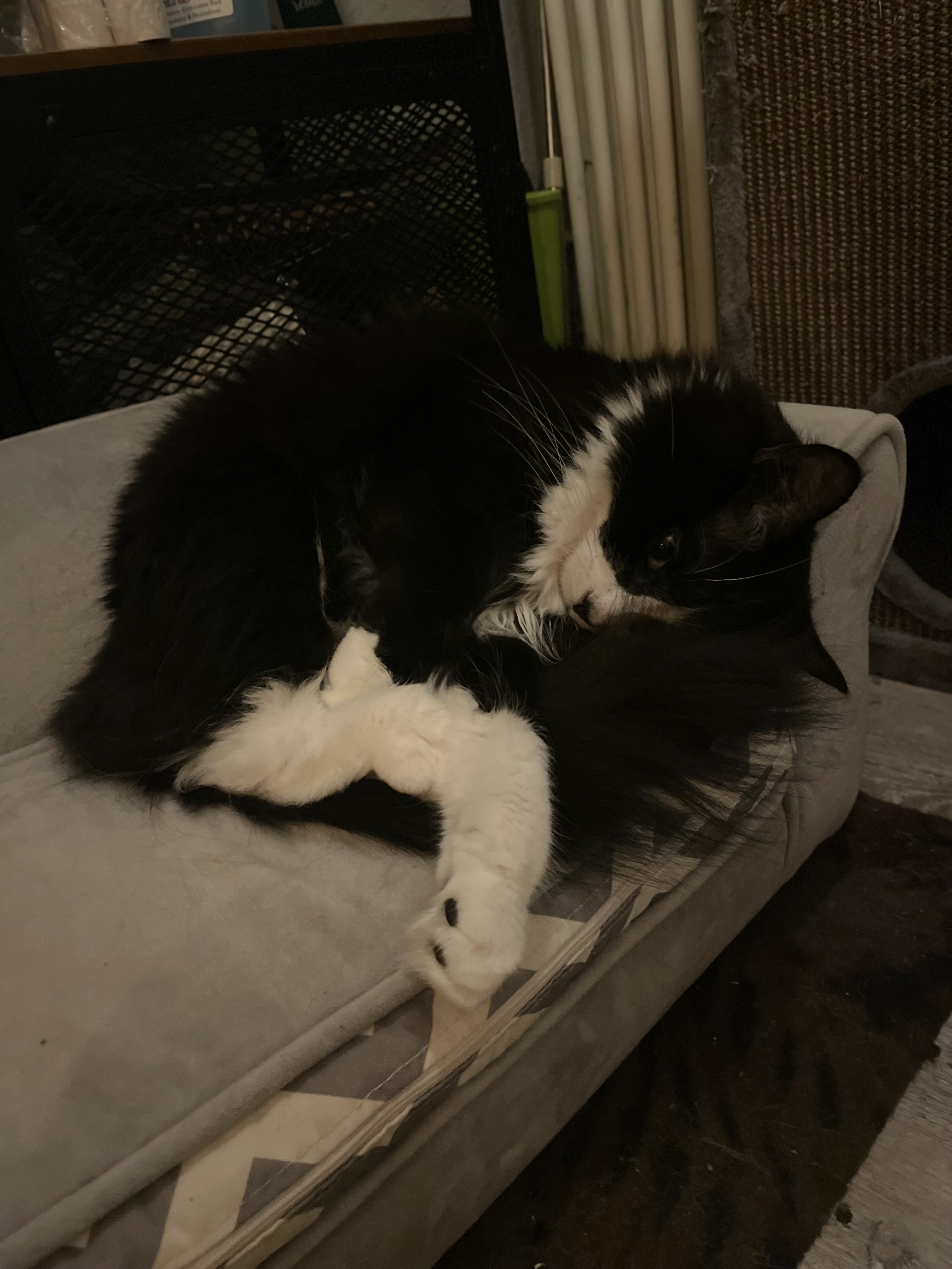 Photo n° 4 de l'avis de Sofia.i fait le 28/12/2022 à 17:47
