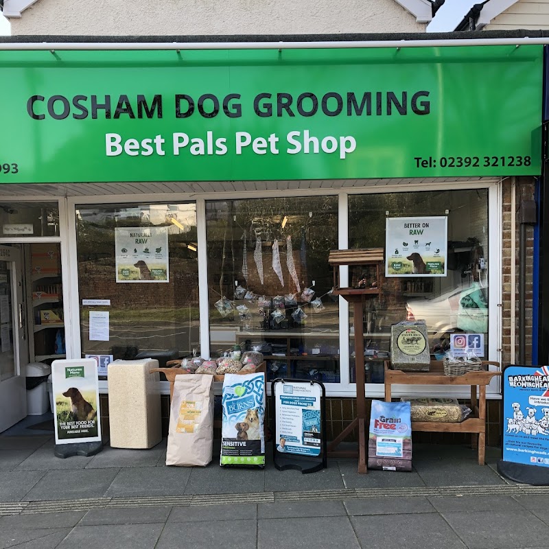 Cosham Dog Grooming Ltd