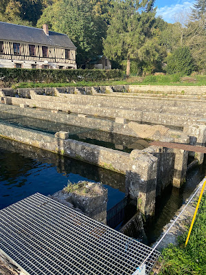 Pisciculture Normand'Truites à Rives-en-Seine