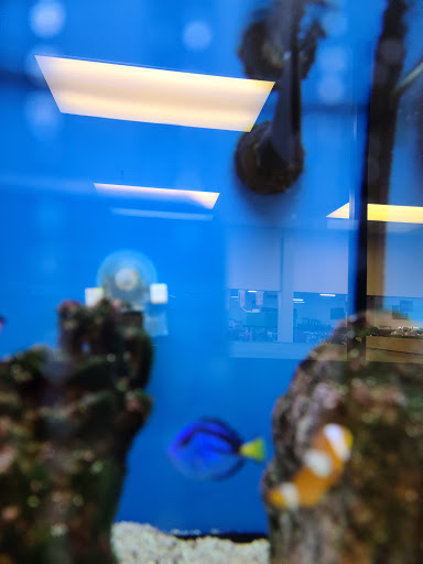 Pet Supply Store «Petco Animal Supplies», reviews and photos, 1960 Edinboro Rd, Erie, PA 16509, USA