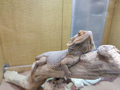 Pet Store «Animal Ark», reviews and photos, 175 S 500 E St, American Fork, UT 84003, USA