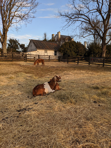 Winery «Aspen Dale Winery at the Barn», reviews and photos, 11083 John Marshall Hwy, Delaplane, VA 20144, USA