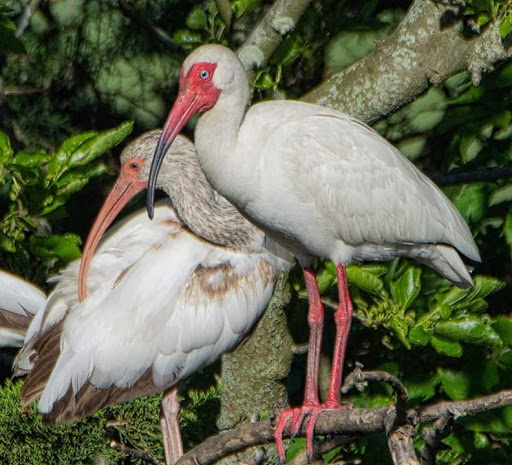  «Ocean City Welcome Center», reviews and photos, 300 W 9th St, Ocean City, NJ 08226, USA