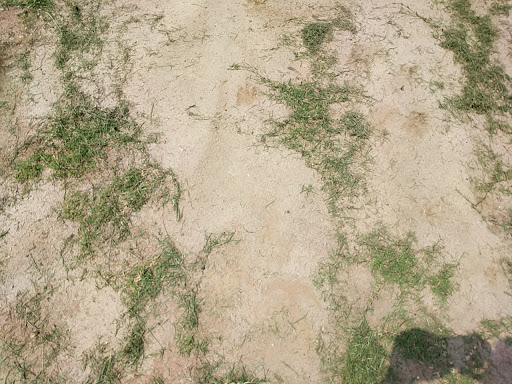 Recreation Center «Glenloch Recreation Center», reviews and photos, 601 Stevens Entry, Peachtree City, GA 30269, USA