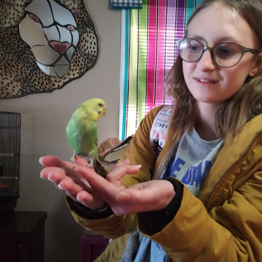 Pet Supply Store «Petco Animal Supplies», reviews and photos, 2435 N Hwy 67, Florissant, MO 63033, USA