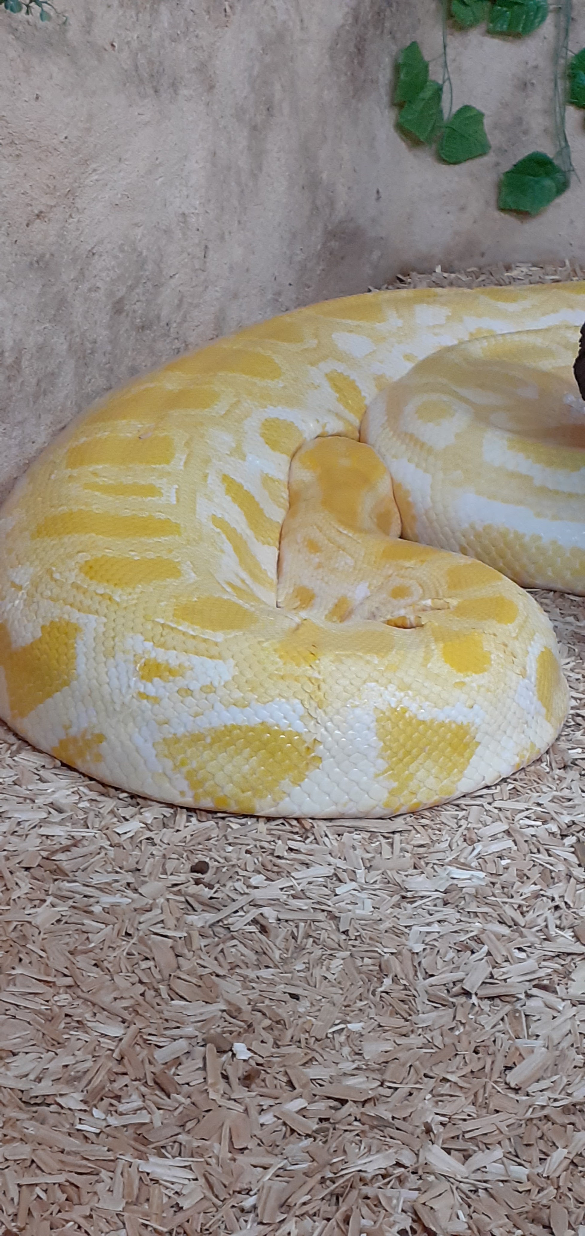 Photo n° 4 de l'avis de xavier.. fait le 15/08/2022 à 19:59