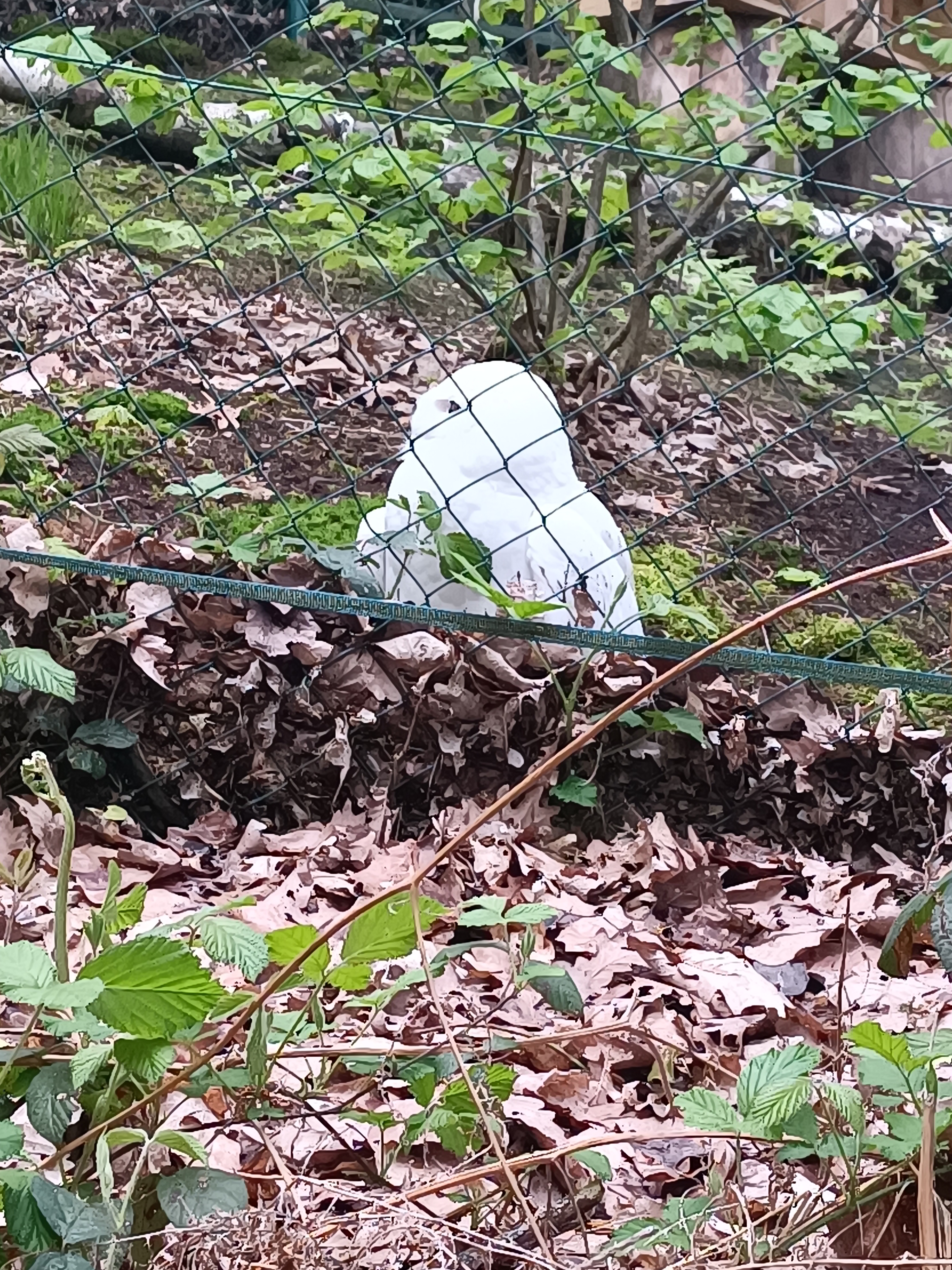 Photo n° 2 de l'avis de Magali.e fait le 30/04/2023 à 12:05