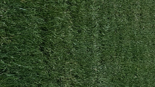 Stadium «Clearwater Threshers», reviews and photos, 601 Old Coachman Rd, Clearwater, FL 33765, USA