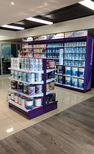 Pinturas Axalta – Tienda Echegaray