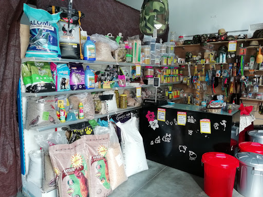 Semilleria La Mineta - Arahal