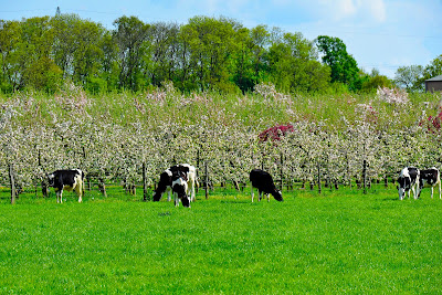 Marché de la Ferme de Viltain à Jouy-en-Josas