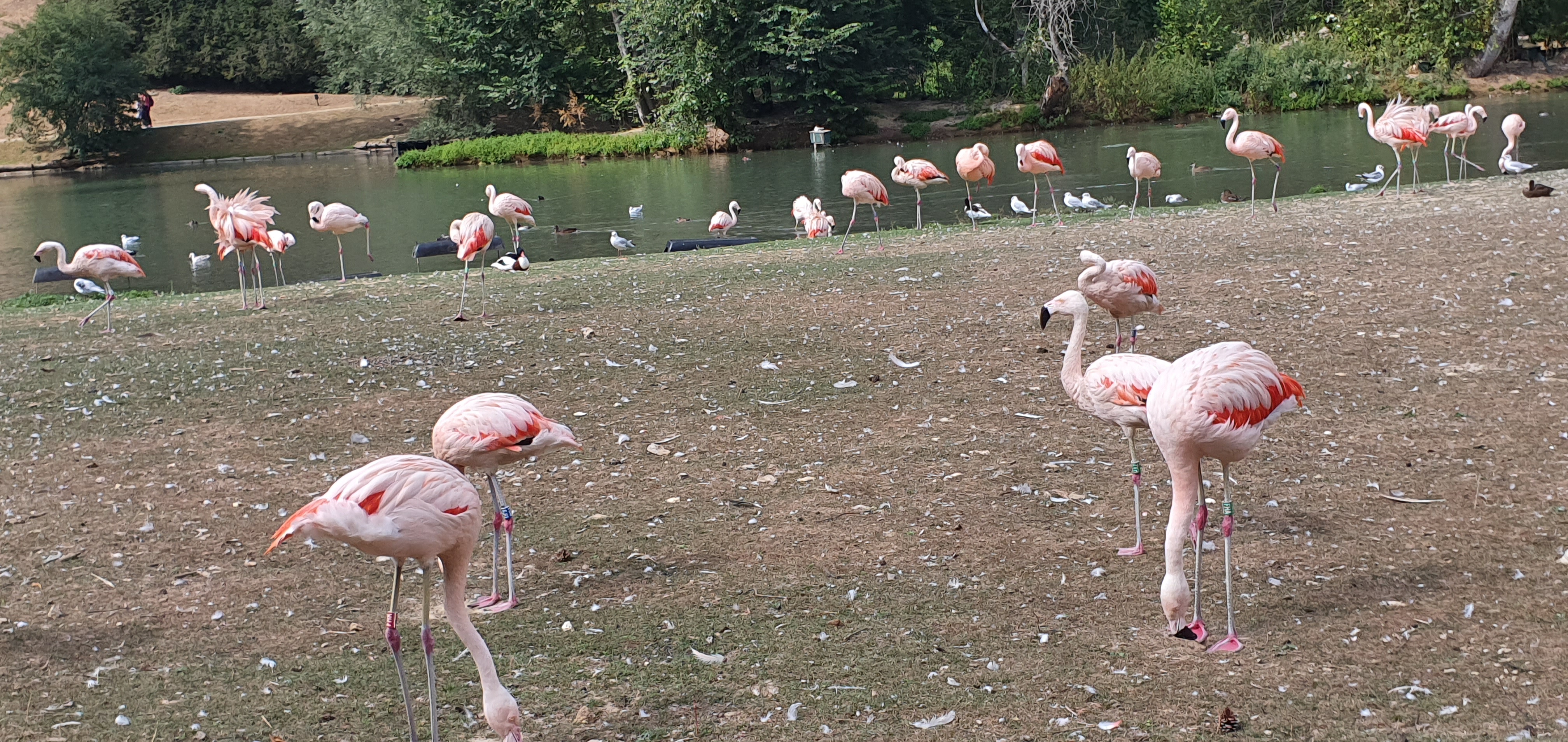 Photo n° 3 de l'avis de tracy. fait le 20/08/2022 à 13:44