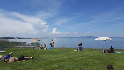 Photo de Strandbad Wiedehorn - endroit populaire parmi les connaisseurs de la détente