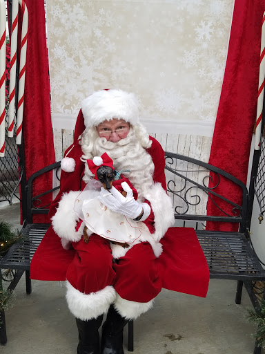 Florist «Meier Flowerland & Greenhouse», reviews and photos, 8087 Grand River Ave, Brighton, MI 48114, USA