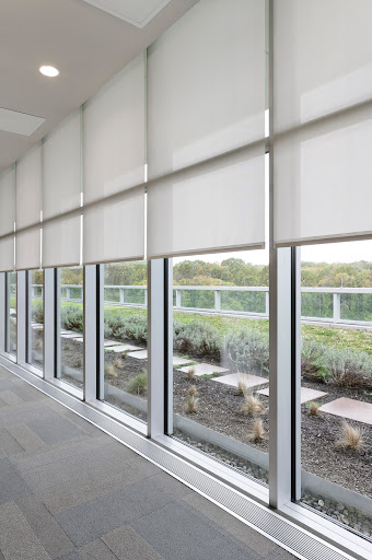 Automatic Blinds CT
