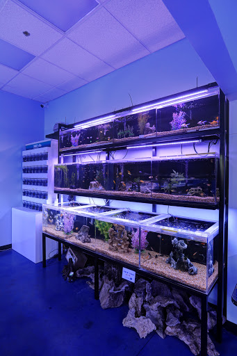 Aquarium «Artistic Aquariums, Inc», reviews and photos, 3400 N Arizona Ave #111, Chandler, AZ 85225, USA