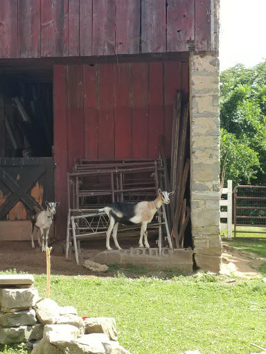 Antique Store «Chelsea Forge Antiques & Design», reviews and photos, 118 County Rd 627, Phillipsburg, NJ 08865, USA