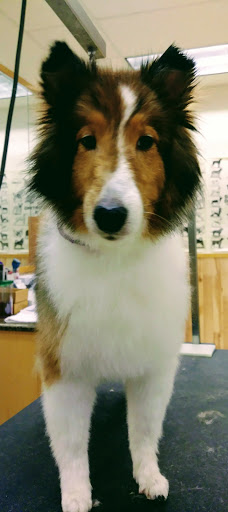 Pet Supply Store «Pet Supplies Plus», reviews and photos, 4751 Hiawatha Ave, Minneapolis, MN 55406, USA