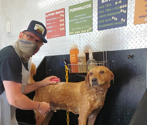 Dirty Dog Grooming + Self-Serve Dogwash + Daycare + Boarding