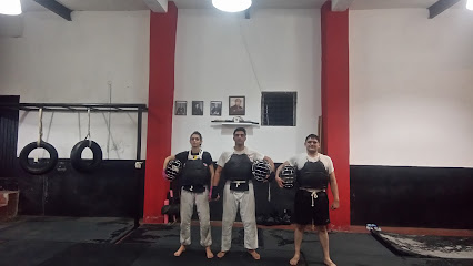 RONIN Gym Bujutsukan MMA Judo Karate - C. Bucerias 94, Residencial, La Huerta, 63070 Tepic, Nay., Mexico