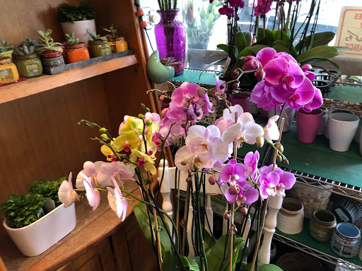 Florist «Flowers of the Valley», reviews and photos, 4077 24th St, San Francisco, CA 94114, USA
