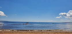 Photo de Gladstone Beach avec un niveau de propreté de très propre