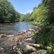 Neversink River Unique Area