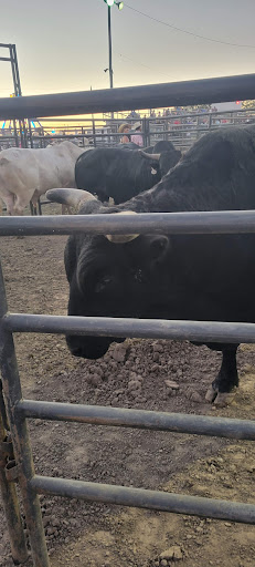 Fairground «Wayne County Fairgrounds», reviews and photos, 861 Salisbury Rd, Richmond, IN 47374, USA