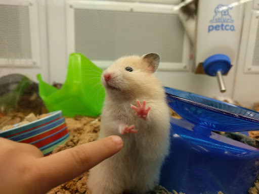 Pet Supply Store «Petco Animal Supplies», reviews and photos, 110 Percival Rd, Columbia, SC 29206, USA