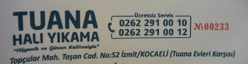 bakteriler muhtesem baraj tuana hali yikama izmit bilsanatolye com