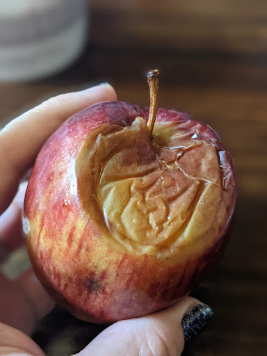 Sandwich Shop «Panera Bread», reviews and photos, 1050 W University Ave, Georgetown, TX 78628, USA