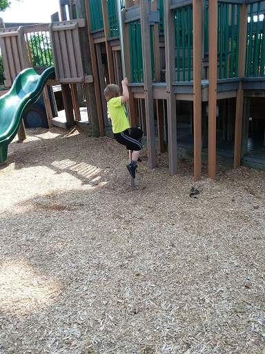 Park «Rapid Run Park», reviews and photos, 4450 Rapid Run Rd, Cincinnati, OH 45205, USA