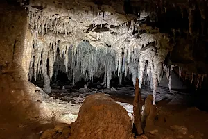 Florida Caverns State Park image