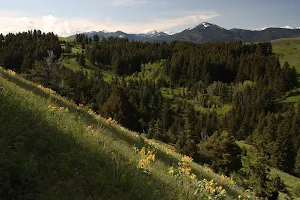 Drinking Horse Mountain Trailhead image