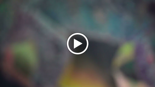 Explore axolotl tattoo ideas, creative tattoo ideas in Deerfield Beach, available at Black Rose Tattoo Studio