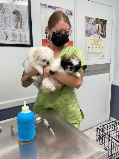 Animal Feed Store «All Pet Feed & Tack», reviews and photos, 25598 E Baseline St, San Bernardino, CA 92410, USA