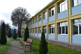 Școala Gimnazială Ioan Vlăduțiu